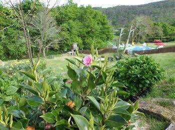 O Bergando * Cotobade